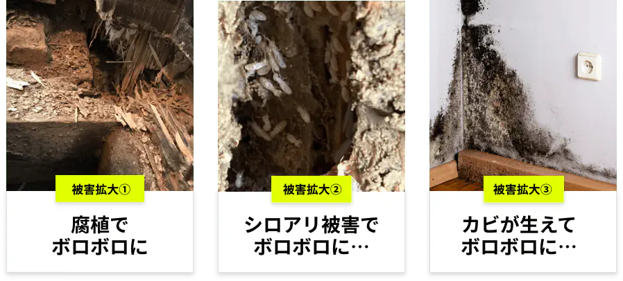 腐植でボロボロに。シロアリ被害でボロボロに。カビが生えてボロボロに。